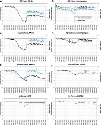 A Novel Low-Cost, High-Resolution Camera System for Measuring Peat Subsidence and Water Table Dynamics